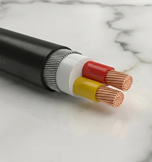 کابل زمینی 16*2 خراسان افشارنژاد
